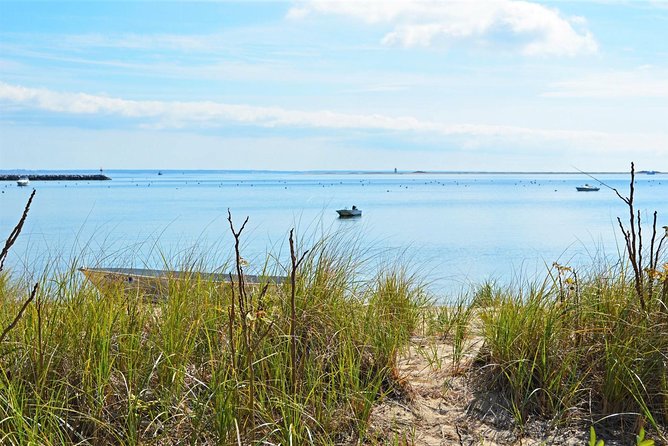 Provincetown & Cape Cod High Speed Ferry To/From Boston - Positive Customer Reviews and Feedback