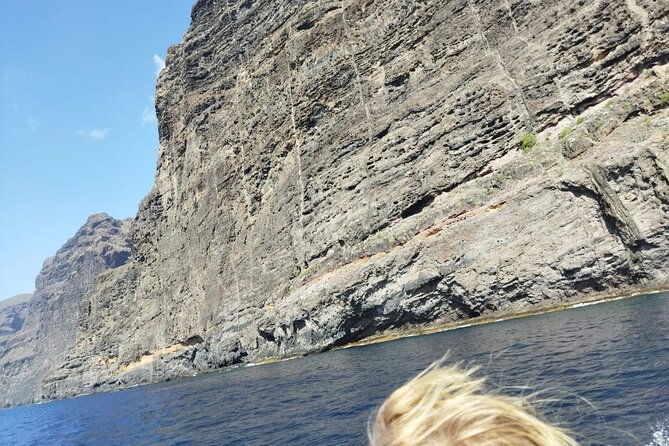 Puerto Colon to Los Gigantes Whale and Dolphin Sea Safari  - Tenerife - Marine Life Encounters