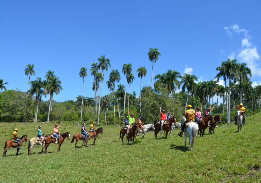 Puerto Plata Combo Experience: Zip-line Horseback Riding - Inclusions