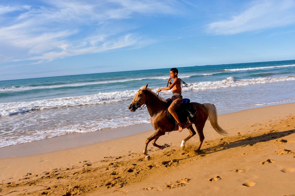 Puerto Plata: Horseback Riding on the Beach - Activity Highlights