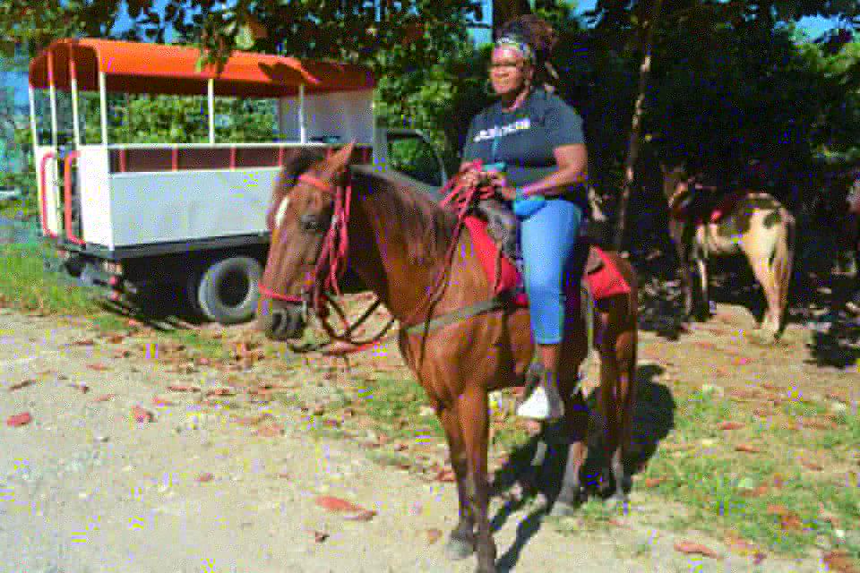 Puerto Plata: Mountain Horse Ride Tour With Drinks - Last Words