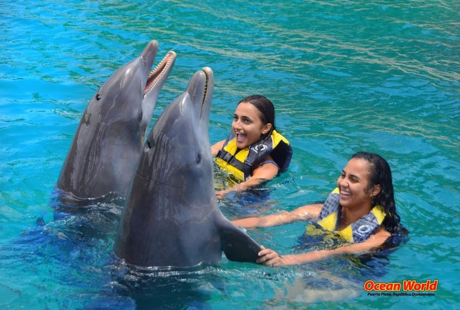 Puerto Plata Ocean World Adventure Park Taino Bay Amber Cove - Full Experience Description