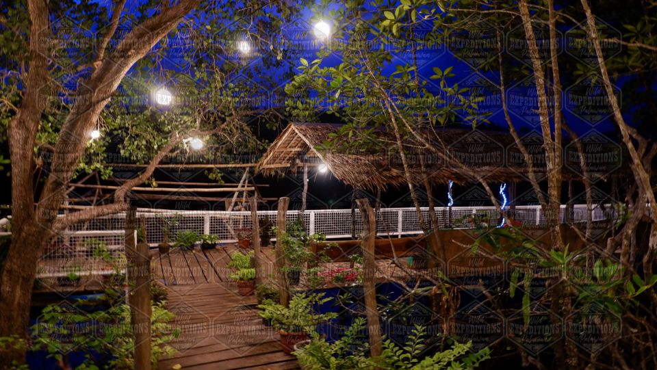 Puerto Princesa: Firefly Watching Paddle Boat Tour & Dinner - Booking Information