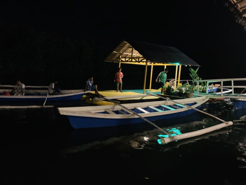 Puerto Princesa: Underground River and Firefly Watching Tour - Experience Highlights