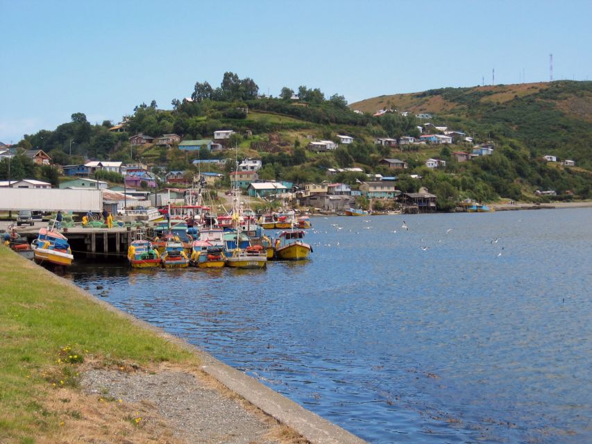 Puerto Varas: Fullday Chiloe Island Tour Castro and Dalcahue - Tour Inclusions
