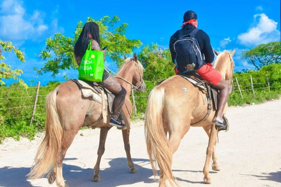 Punta Cana: 1 Hour of Horseback Riding With Hotel Pickup - Immersive Nature Connection Experience