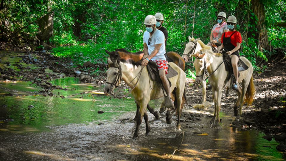 Punta Cana: 3 Tour Zip Line, Buggy and Horse Ride. - Inclusions