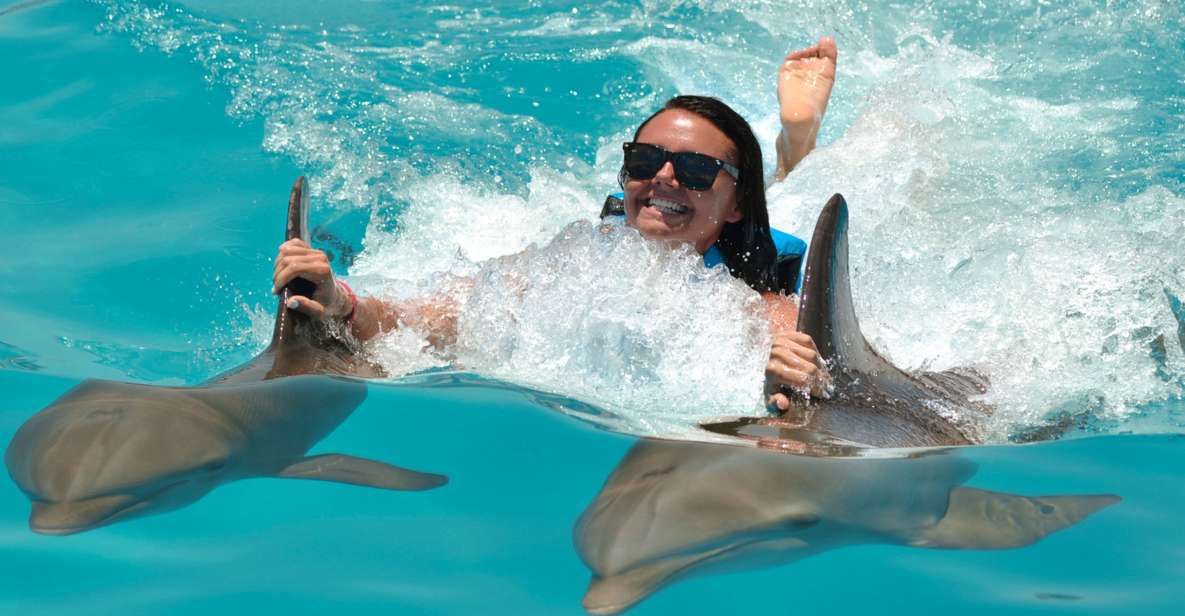 Punta Cana: Dolphin Discovery Swims and Encounters - Dolphin Interaction Highlights