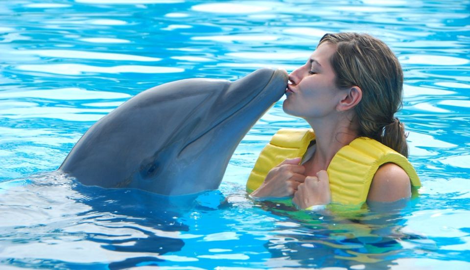 Punta Cana Dolphin Discovery - Dolphin Encounter Highlights