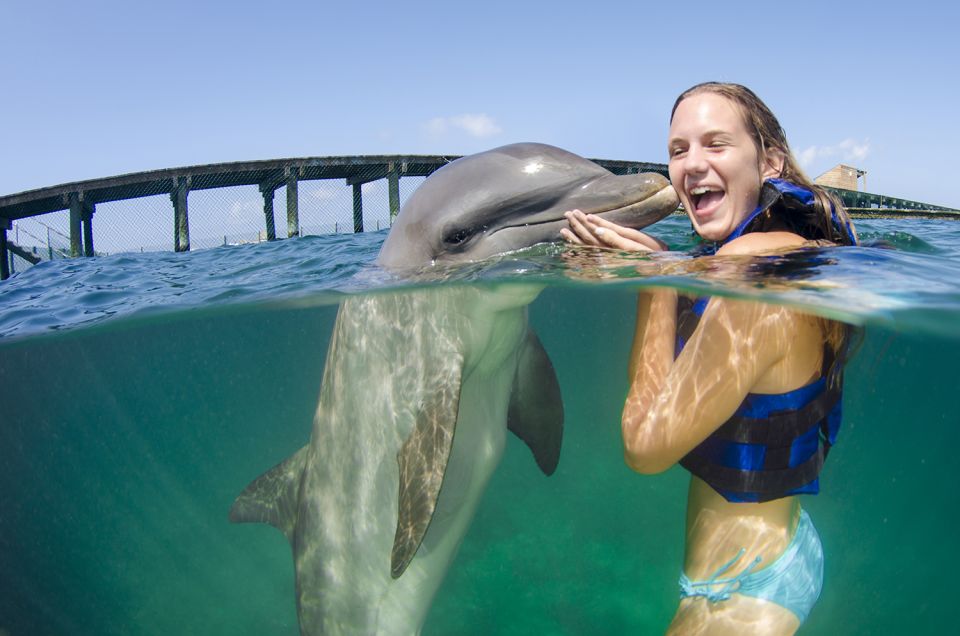 Punta Cana: Dolphin Experience in the Sea - Cancellation Policy