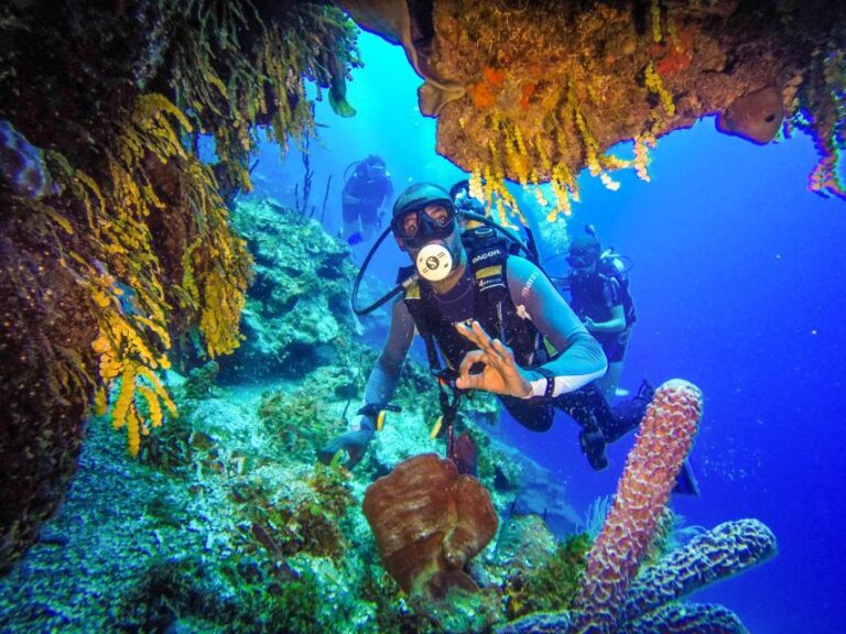 Punta Cana: Explore the Coastline With Our Diving Experience