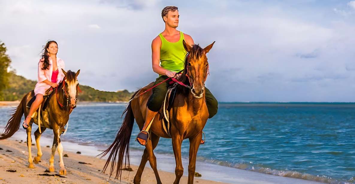 Punta Cana: Macao Beach Tour on Horseback With Transfers - Review Summary