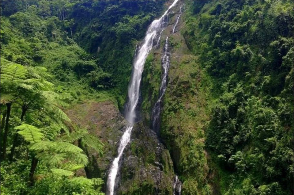 Punta Cana: Salto La Jalda & Montana Redonda - Similar Water Activity Options