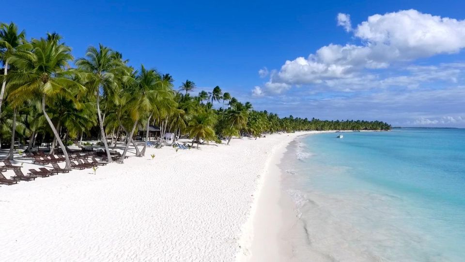 Punta Cana: Saona Islan Full Day With Catamaran and Buffet - Highlights