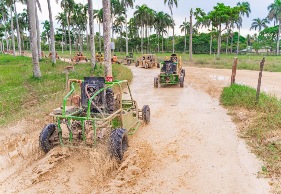 Punta Cana: Saona Island and Buggy Combo - Customer Reviews and Ratings