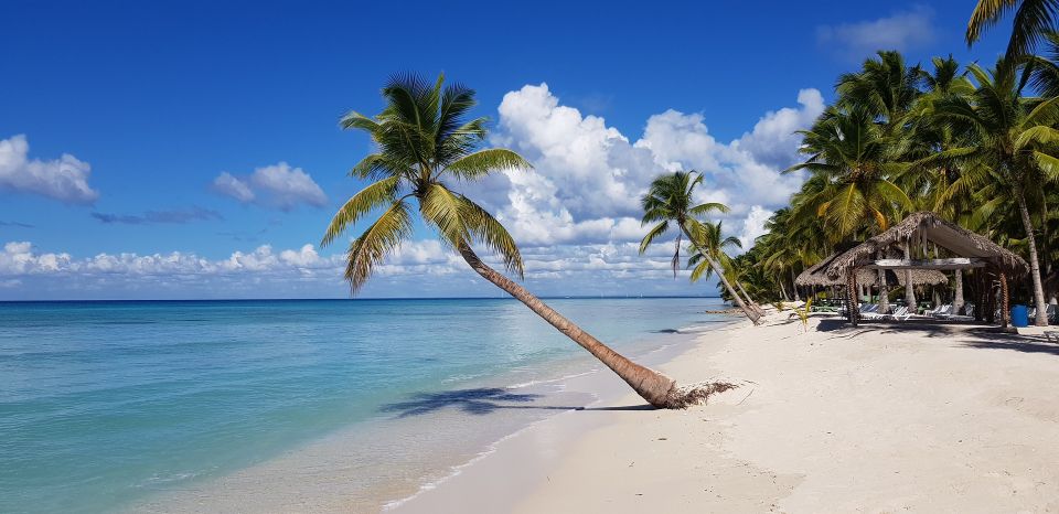 Punta Cana: Saona Island Day Trip - Experience on Saona Island