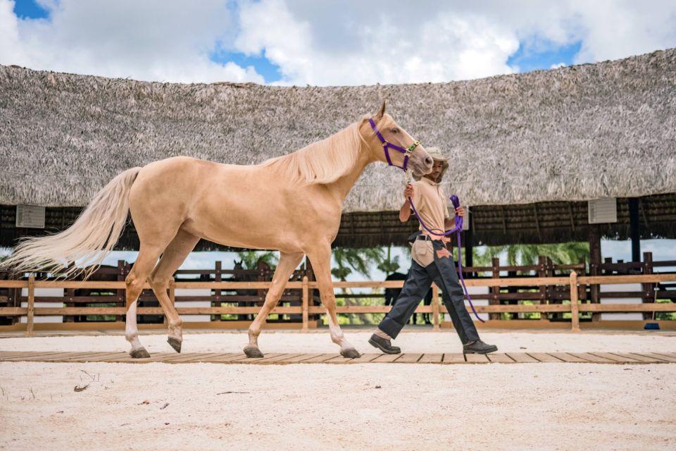 Punta Cana: Xploration Animal Park Bus Tour With Encounters - Highlights and Activities Overview