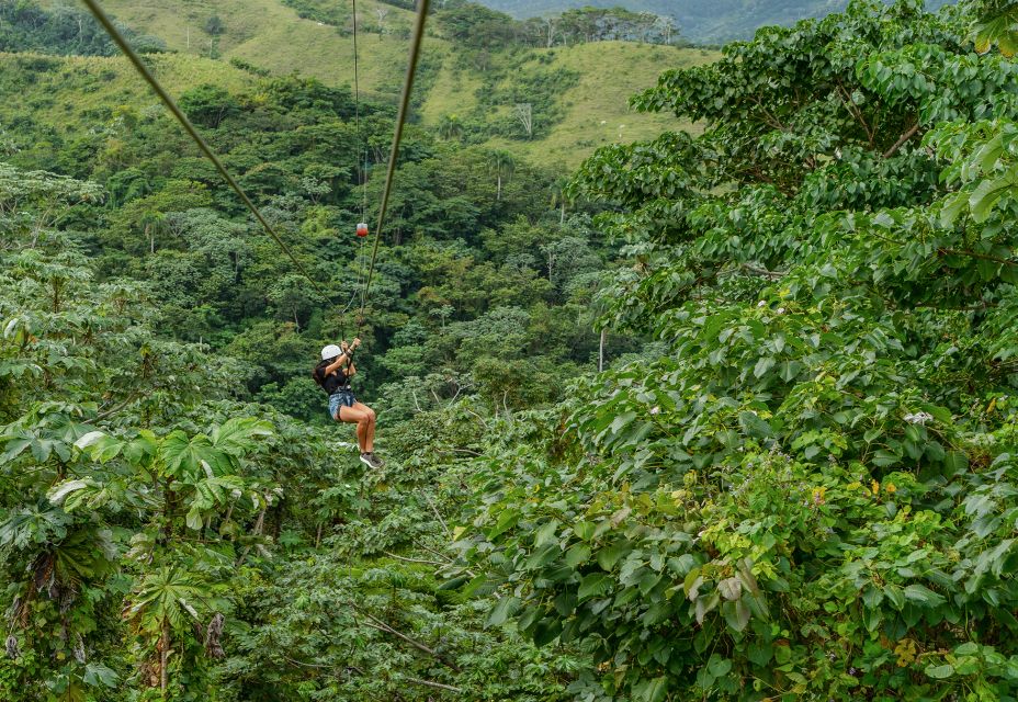 Punta Cana: Zipline, Chairlift, Buggy & Horse Ride Adventure - Reviews and Ratings