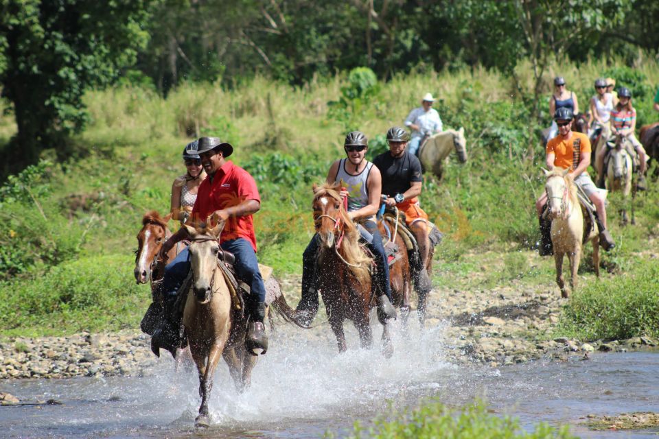 Punta Cana:Horseback Riding on the Beach - Customer Reviews