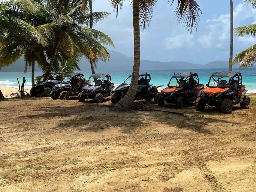 Punta Cana:Samana Panoramiccity Tourbuggy Tourplaya Rincon - Lunch and Catamaran Ride