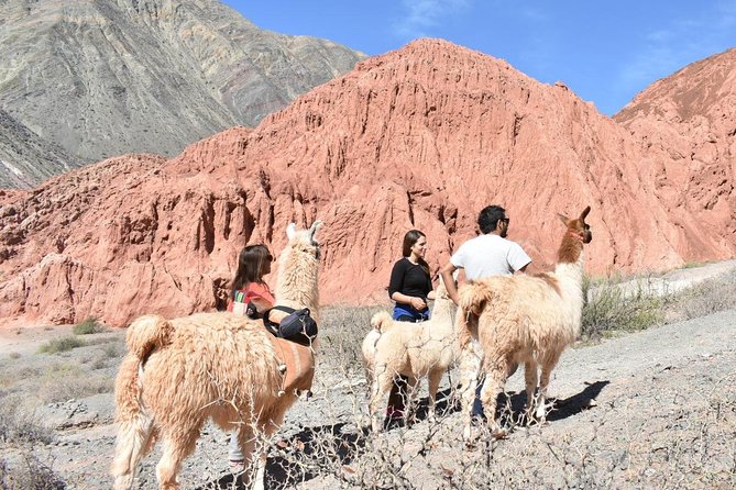Purmamarca Walk With Llamas - Contact Information