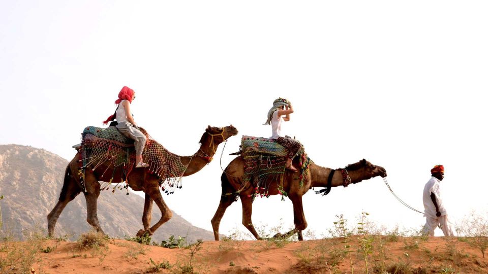Pushkar Day Trip With Camel Safari From Jaipur by Car. - Itinerary