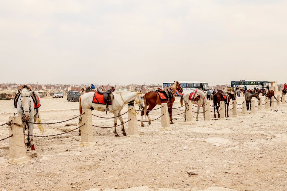 Pyramids of Giza and Great Sphinx: Private Half-Day Tour - Tour Experience