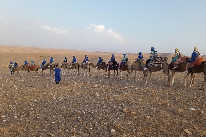 Quad Bike & Camel Ride Agafay & Dinner at Chouf L'Or Restaurant - Customer Reviews and Ratings