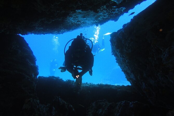 Qualified Diver 1 Tank Dive in Mykonos - Customer Reviews