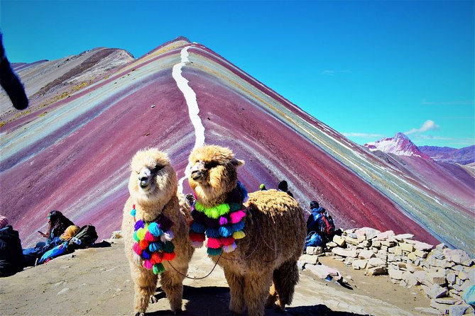 Rainbow Mountain by ATV: Small-Group Tour From Cusco - Feedback and Reviews