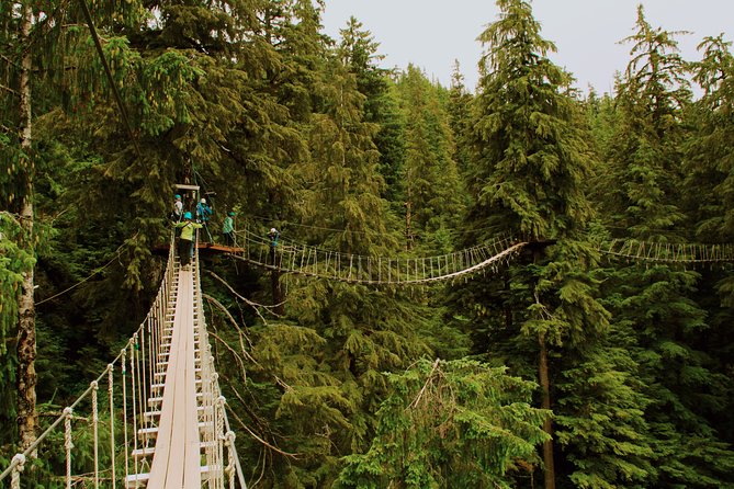 Rainforest Zip, Skybridge & Rappel Adventure in Ketchikan, AK - Weather Considerations