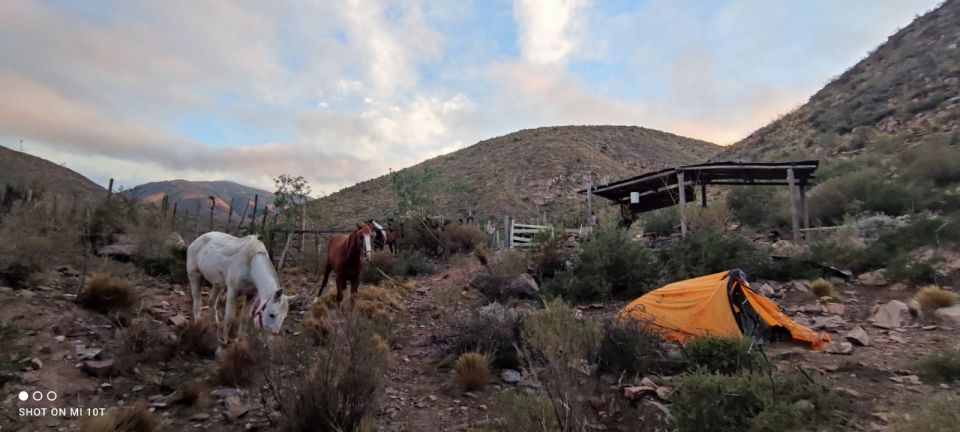 Rancho Gaucho Estate 3 Days in The Andes - Testimonials From Satisfied Guests