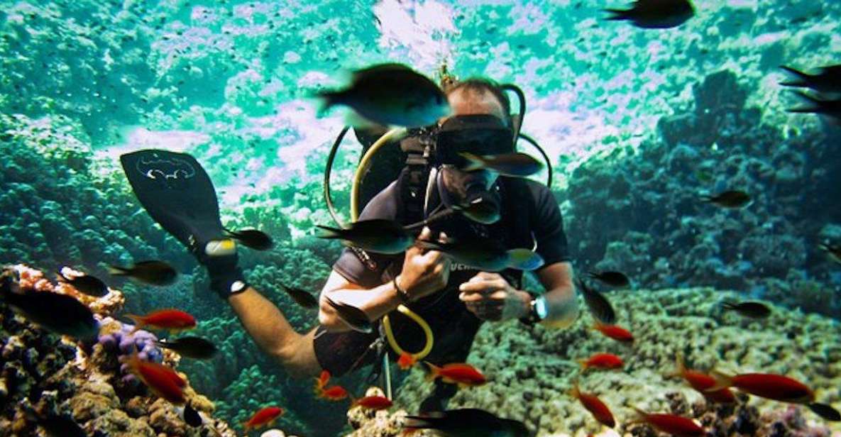 Ras Muhammad National Park: Diving Boat Trip From Sharm - Detailed Description of the Diving Experience