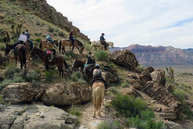 Red Rock Canyon Sunset Horseback Ride and Barbeque - Areas for Improvement