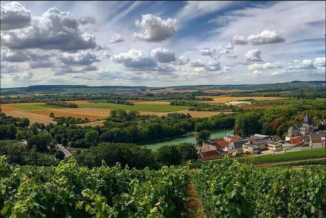 Reims or Epernay Region : Private Minivan Day Tour With Driver Guide at Disposal - Inclusions and Amenities