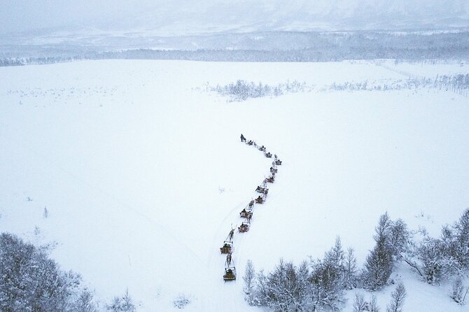 Reindeer Sledding and Feeding With Sami Culture in Tromso. - Hospitality and Service