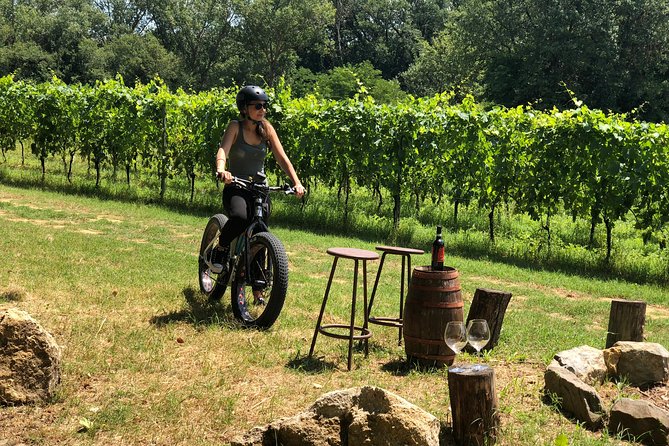 Rental of an Electric Bicycle With Wine Tasting (Mar ) - Customer Reviews and Recommendations