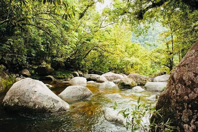 Return Mossman Gorge From Port Douglas Transfers - Reviews and Ratings Analysis