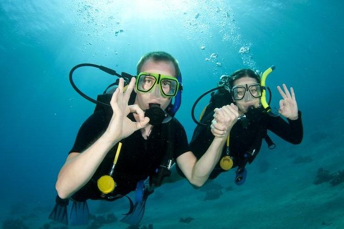 Rhodes Scuba Diving Experience - Preparation and Requirements