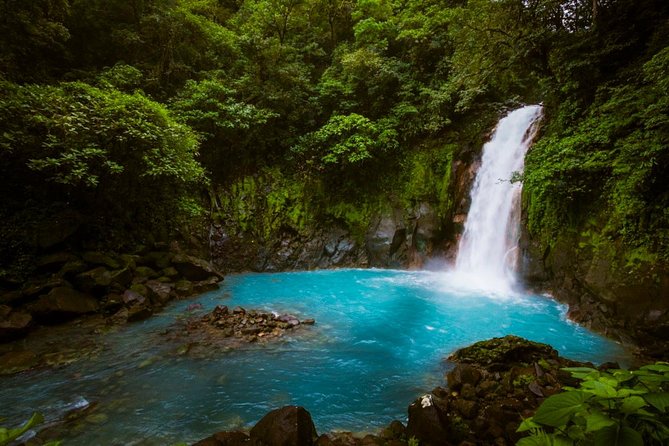 Rio Celeste Full-Day Tour From La Fortuna - Traveler Feedback