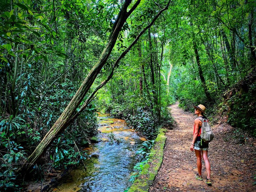 Rio De Janeiro: Eco City Tour - Experience Highlights and Wildlife