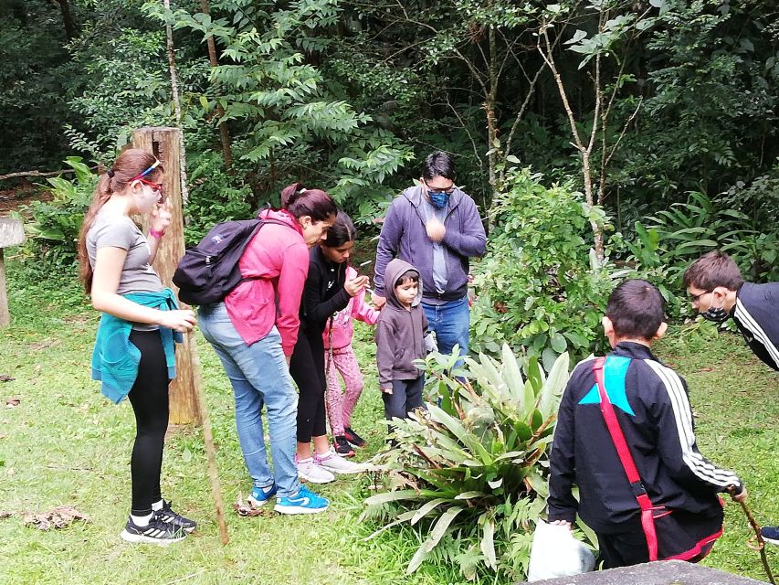 Rio De Janeiro: Tijuca Forest Waterfall of Souls Hike - Inclusions