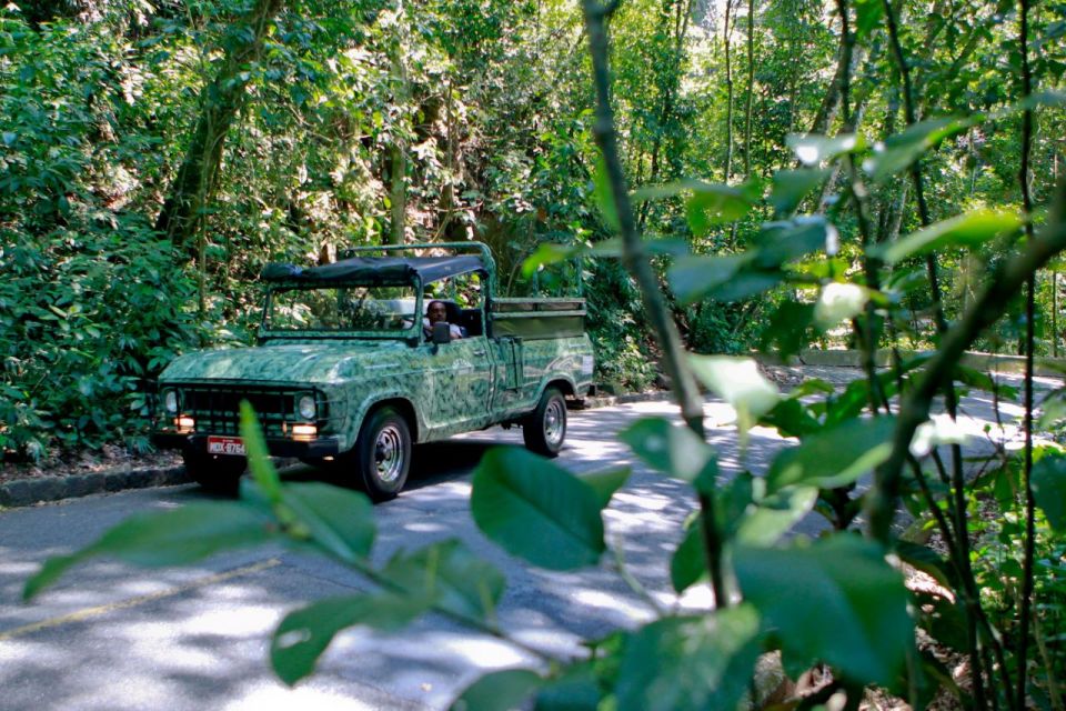 Rio: Jeep Tour to Botanical Garden and Tijuca Forest - Experience Highlights