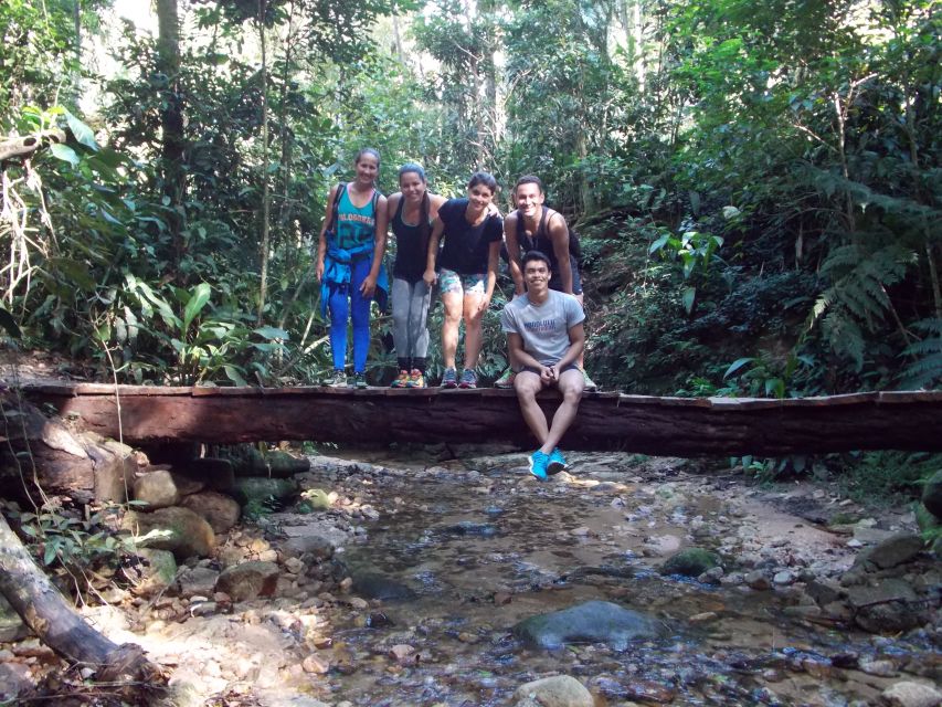 Rio: Tijuca Forest Historical Hike & Cachoeira Das Almas - Park Museum Visit