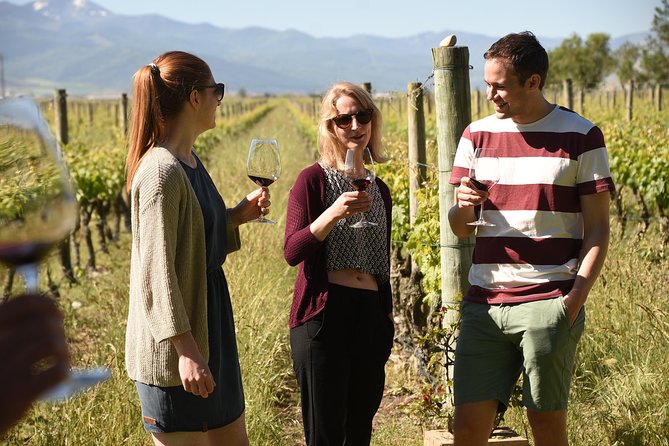 Rioja Alta and Rioja Alavesa Wine Tour - Meet the Winemakers