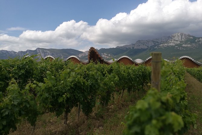 Rioja Wine Private Tour From San Sebastian