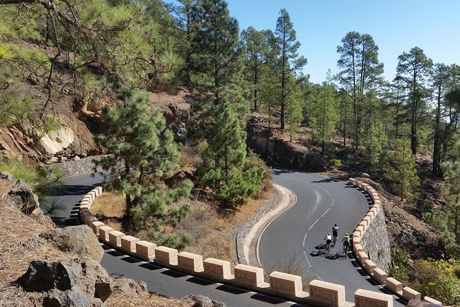 Road Cycling Tenerife - Teide Route - Traveler Reviews