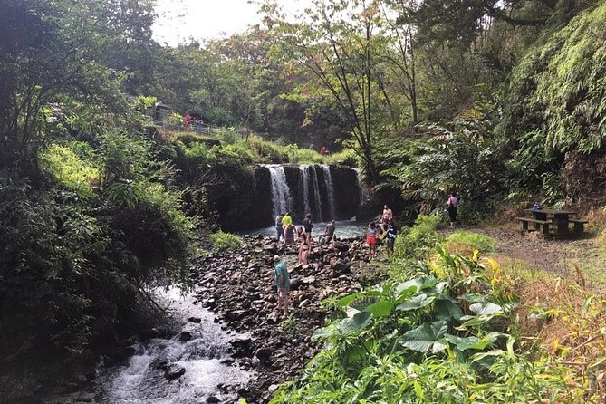 Road to Hana Adventure Tour With Pickup - Small Group - Logistics and Additional Information