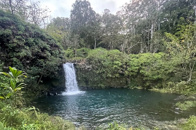 Road to Hana Tours With Hotel Pick-Up, Black Sand Beach , Waterfalls and More! - Tour Guide Experiences and Highlights