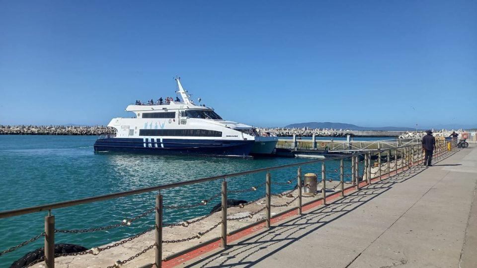 Robben Island, Table Mountain & Kirstenbosch, From Cape Town - Pickup and Transportation Information